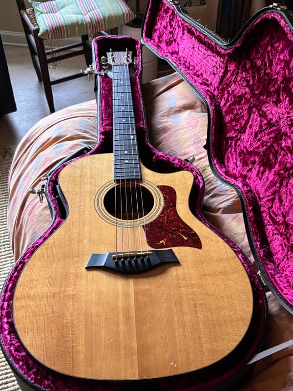 Taylor 314ce with Fishman Electronics