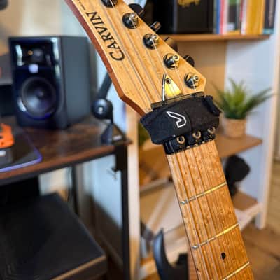 Carvin DC 127 image 6