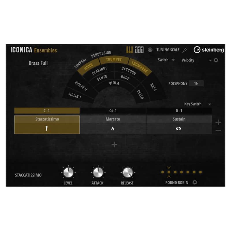Steinberg Iconica Ensembles Orchestral Library for HALion (Activation Card) image 1
