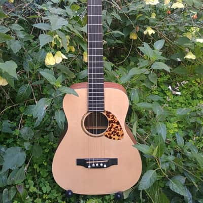 Five-String conversion of used Martin LXM guitar image 1