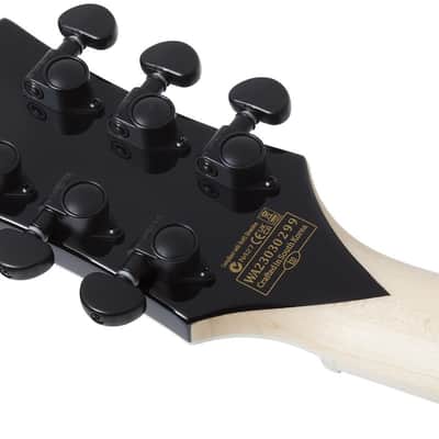 Schecter Goregehn - Cocobolo Psychic Bullseye (4576) image 2