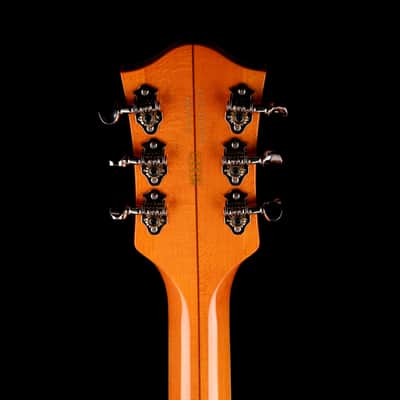 Gretsch G6120T-59 Vintage Select '59 Chet Atkins Hollow Body Lacquer Vintage Orange Stain with Case image 14