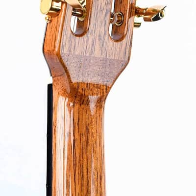 Scharpach SKD Kasha Design Brazilian Rosewood Cedar 2017 image 6