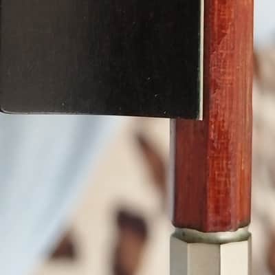 2 bow violin Homa / C. A. Gotz Jr 4/4 violin image 3