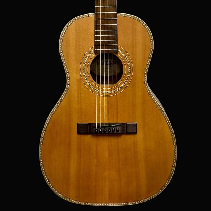 Used Vintage Series Paul Brett Guitar Model VE880PB w/Case TFW3011