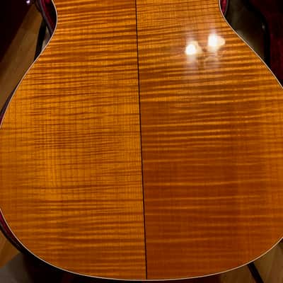 Taylor 612ce w/ 'Fishman Natural' Pickup image 3
