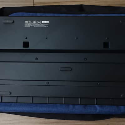 Korg Multi/Poly 37-Key Analog Modeling Synthesizer 2024 - Present - Black & Blue with Wood Sides image 5