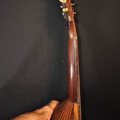 Vintage 1925 Prof. Raffaele Calaci Mandolin image 22