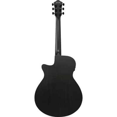 Ibanez AEG Series AEG621 Acoustic Electric Guitar, Black Out image 2