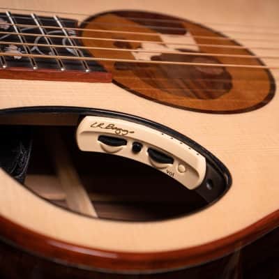 Cort ROSELYN Masterpiece Series Roselyn Redux OM Cutaway Body 5pcs Mahogany & Walnut Neck 6-String Acoustic-Electric Guitar w/Hard Case image 15