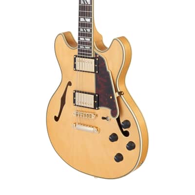D'Angelico DADMINIDCSHNGS DELUXE MINI DC Semi Hollow Body Double Cutaway 6-String Electric Guitar w/Deluxe Hardshell Case image 4