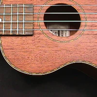 A Solid Wood  Fancy Concert Ukulele in a Case & Ready to Play   3 U image 8