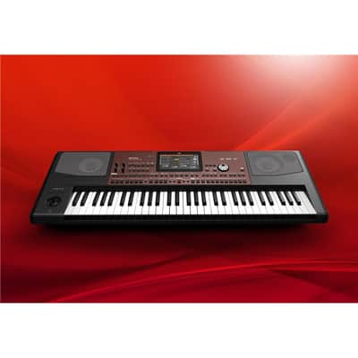 KORG Pa700 image 7