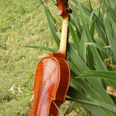 Crow Creek Fiddles Handmade Professional Violin, Red-Brown, With Beautifully Flamed Maple! image 24