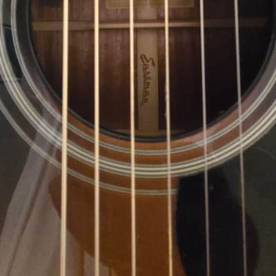 Eastman 10P-SB Parlor - Sunburst image 8