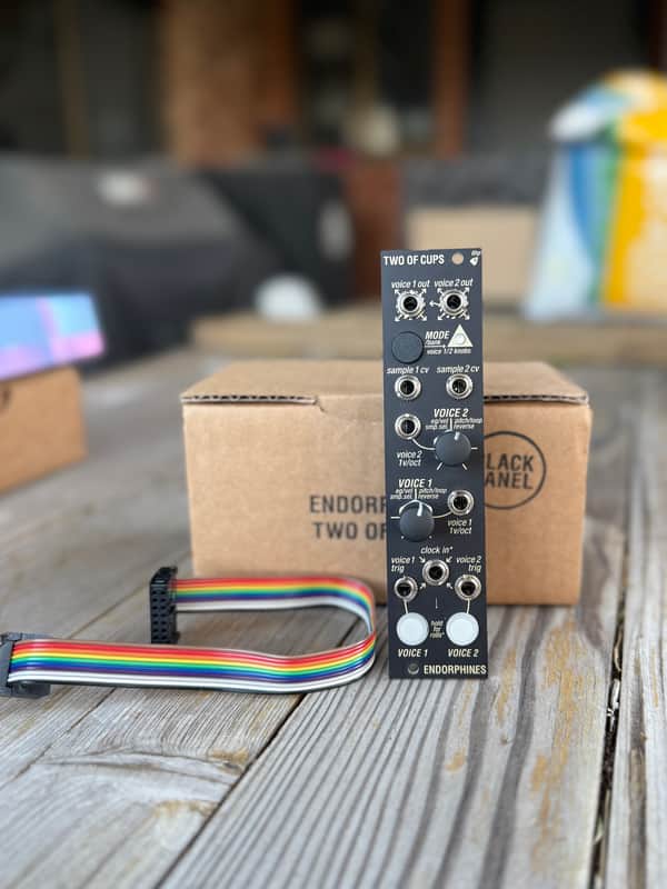 Endorphin.es Two of Cups Eurorack Synth Module 2021 - Present - Black image 1