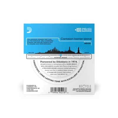 D'Addario Light 12-53 Phosphor Bronze Acoustic Guitar Strings TEN SETS image 3