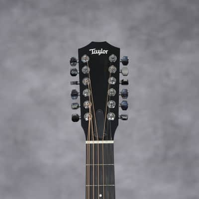 Taylor 150e 2014 - Present - Natural image 3