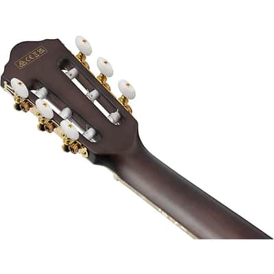 Ibanez TOD10NTKF Tim Henson Signature Nylon Acoustic-Electric Guitar - Transparent Black Flat image 9
