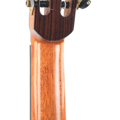 Dirk Janssen D30 Magma Concert Brazilian Rosewood 2014 image 6
