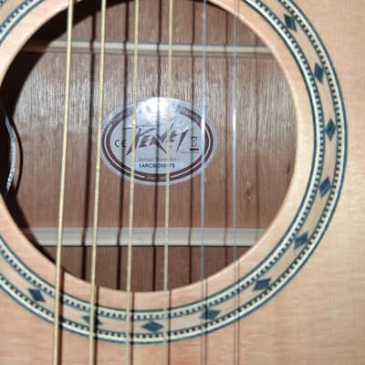 Peavey DW-2 Dreadnought Acoustic/Electric Guitar with Built-In Tuner 2010s - Natural image 3