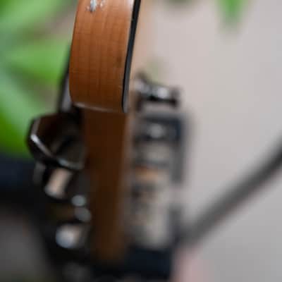 Squier Contemporary Active Starcaster 2019 - Present - Black image 9