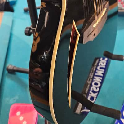 ESP LTD TL-12 Thinline Acoustic-Electric Guitar, 12-String image 15