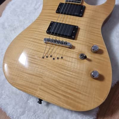 Washburn X 50 2007 Natural Flame Maple image 9