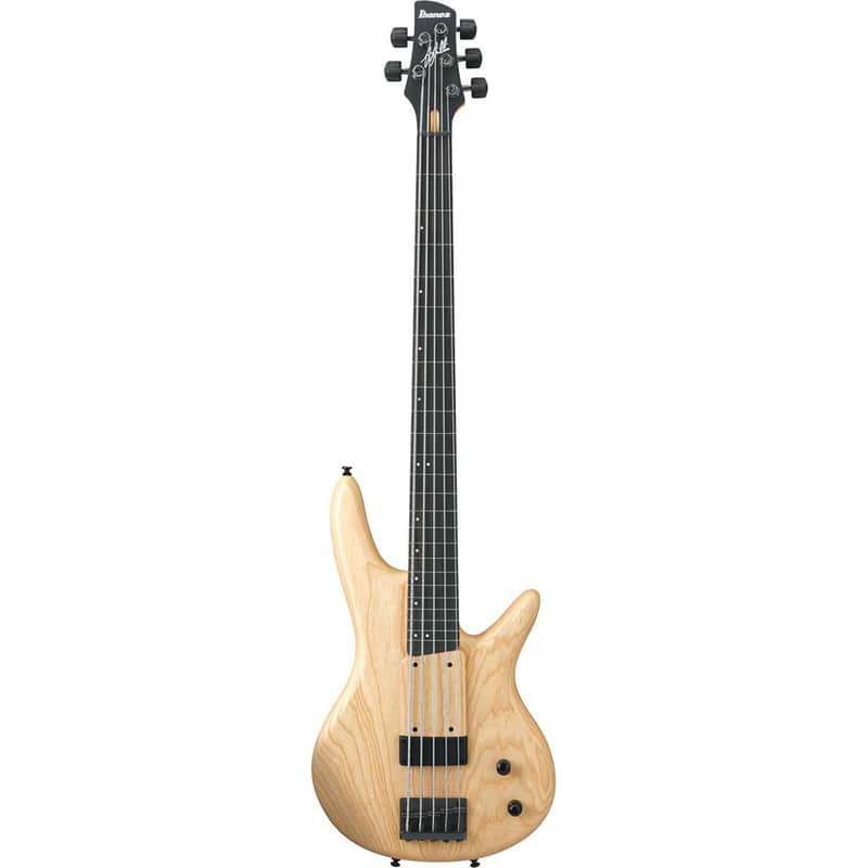 Ibanez GWB205 Gary Willis Signature Soundgear Fretless | Reverb