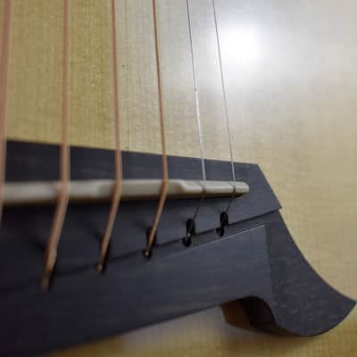 2010 Breedlove Special Edition Focus D image 15