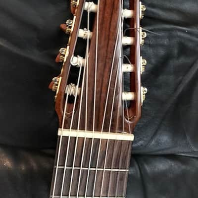 Cathedral 10 string clasical guitar 2013 with midi pickup image 4