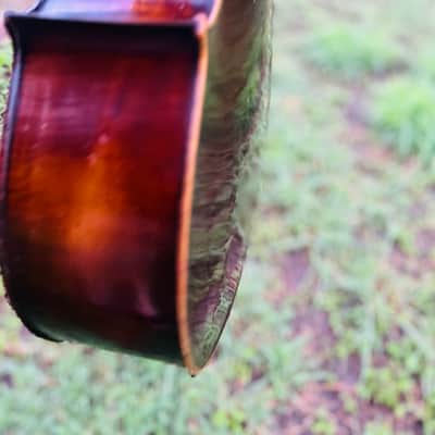 Immagine Giuseppe Petrazzini Cello 1890's Italian Labeled - 11