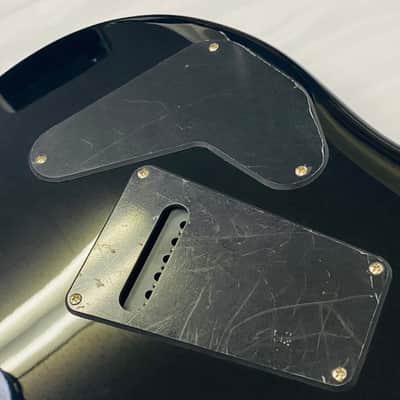 PRS SE Custom 24 Semi-Hollow Piezo image 16
