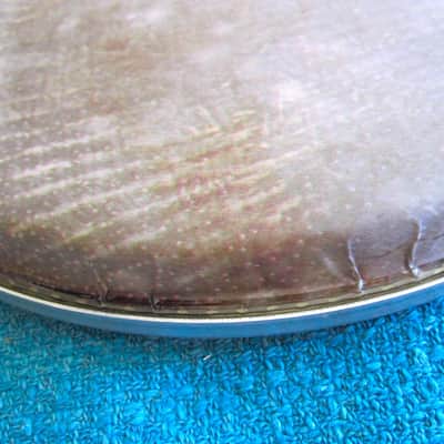 Remo 10" Skin Deep Thin Head - NOS imagen 3