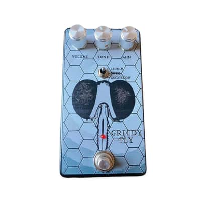 RNRMF Guitar works - Greedy Fly image 1