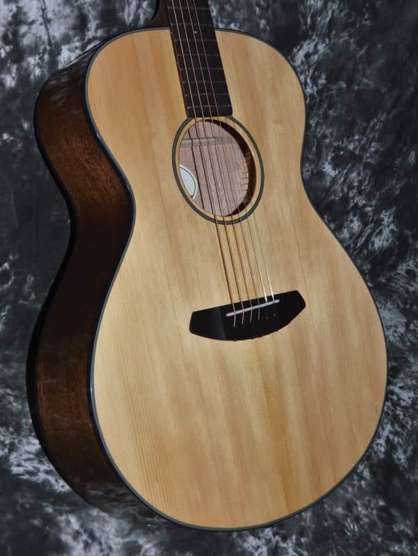 2021 Breedlove - Discovery Concert  - Natural image 1