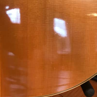 Epiphone FT-570 BL 1970’s Natural image 13