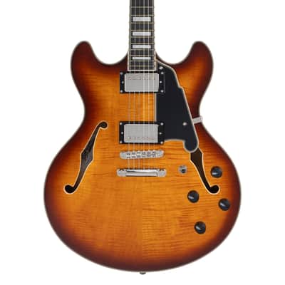 D'Angelico DAPDCDITBNS Premier DC- Dark Iced Tea Burst image 3