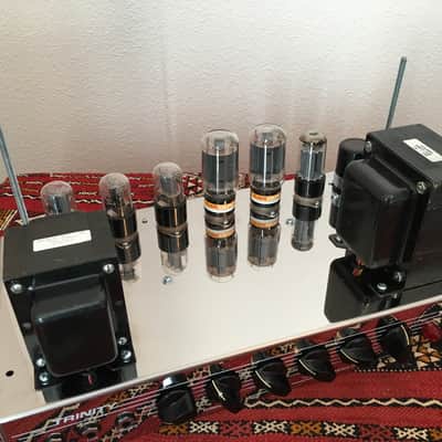 Trinity TripTop (Ampeg B-15 Clone) image 19