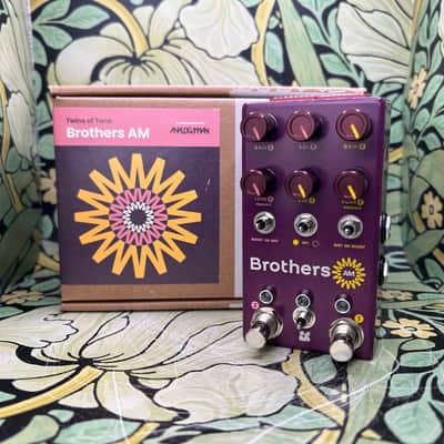 Chase Bliss Brothers AM - Used image 1