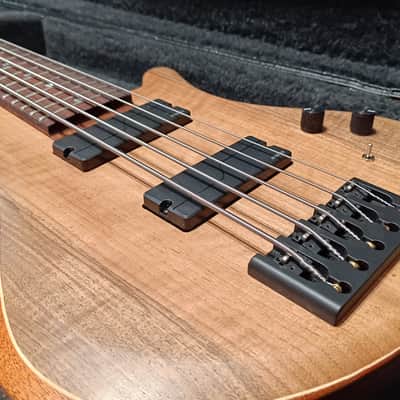 Corpus Buddy Bass 5 Strings - Lodato Guitars Handcrafted image 6