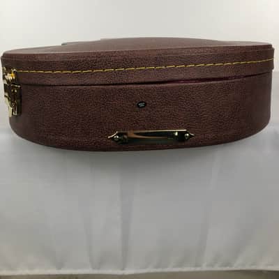 Gator Semi-Hollow Electric Guitar Deluxe Wood Case image 4