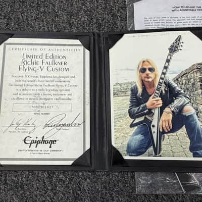Epiphone Richie Faulkner Signature Flying V Custom 2017 - 2019 - Ebony image 15