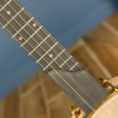 Pisgah Whyte Laydie - 12" Curly Maple 5-String Openback S-Scoop image 17