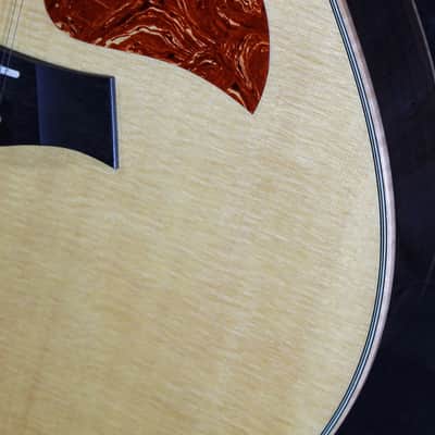 Taylor 856ce 12-String Rosewood Grand Symphony Acoustic-Electric Guitar image 20