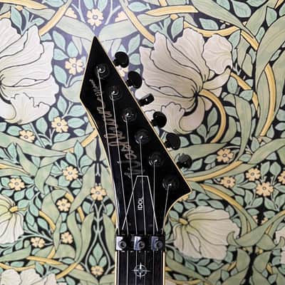 Washburn Idol WI-50V 2008 Bild 6