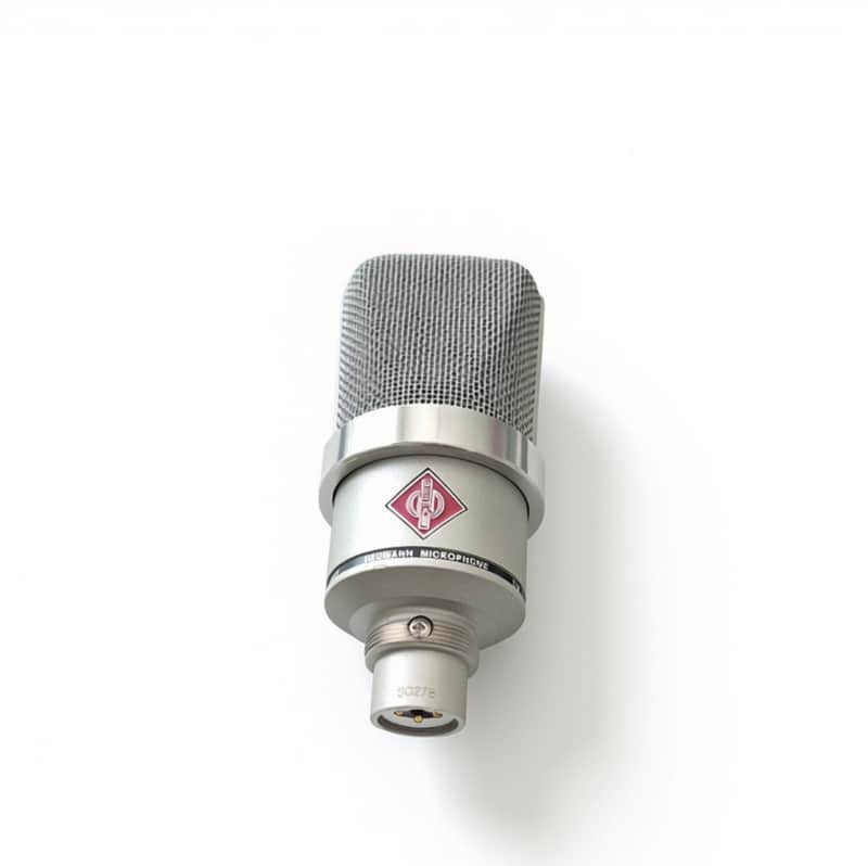 Neumann TLM 102 Large Diaphragm Cardioid Condenser Microphone