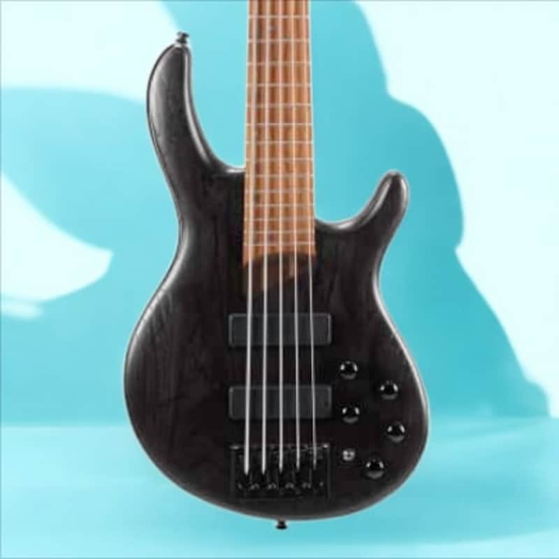 Cort Artisan Element 5-String Bl Open Pore Finish image 1