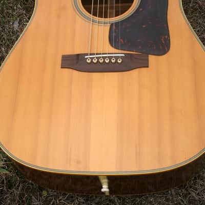 1975 Takamine Elite Doc Watson TW-30G Natural+retro case image 18