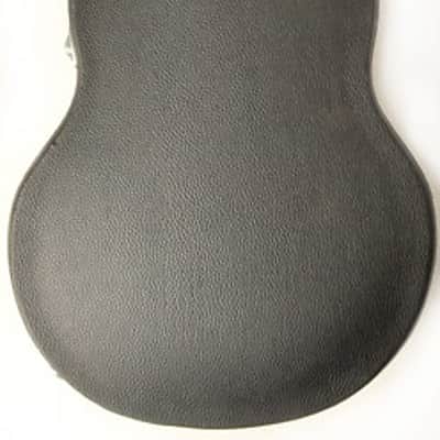 Douglas EGC-400 LP BK/Burgandy Case for Gibson & Epiphone Les Paul image 4